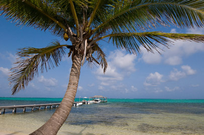 Belize Ocean Pier